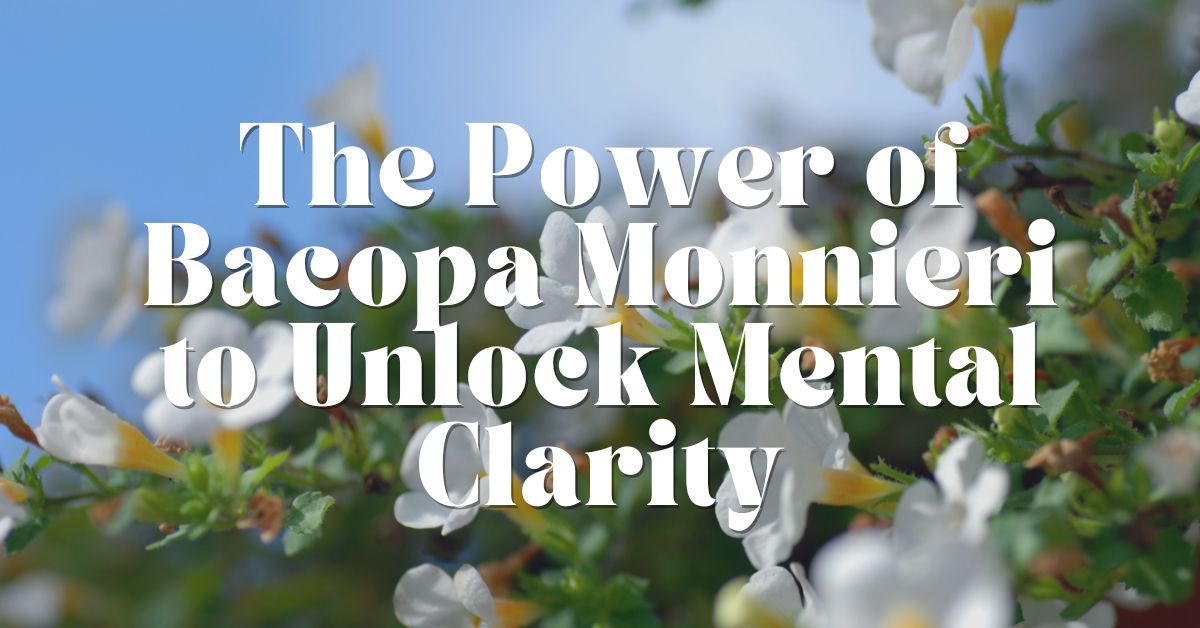 The Power of Bacopa Monnieri to Unlock Mental Clarity