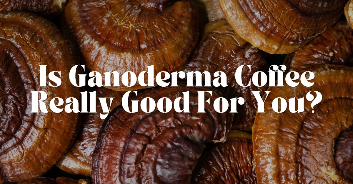 Is Ganoderma Coffee Really Good For You?